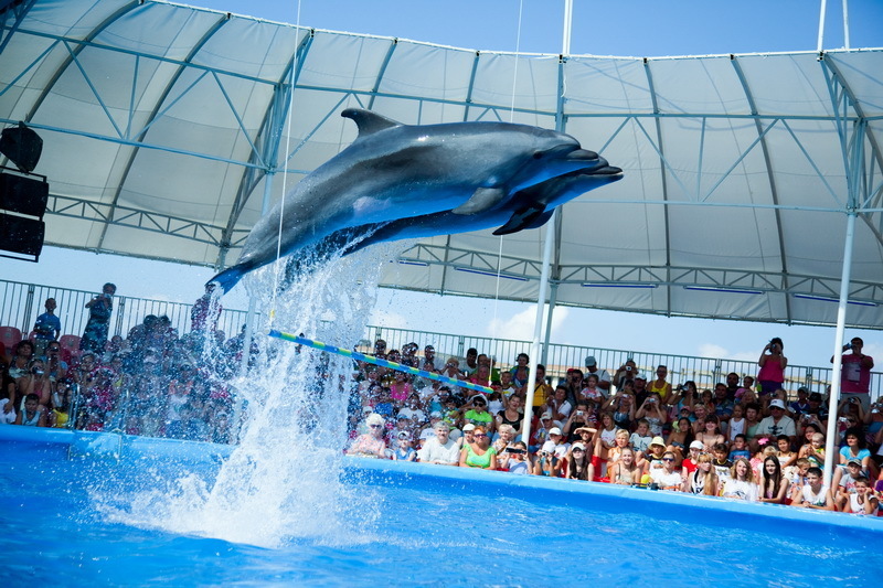 Дельфинарий "Немо" 